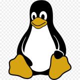 Linux Tabanlı Sistemler